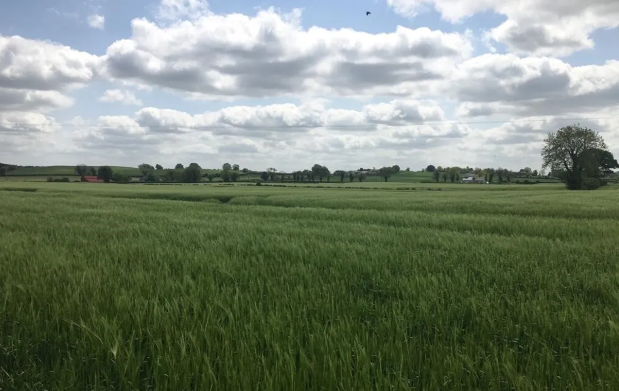 Prime Kildare tillage land makes over €23,000/ac at auction