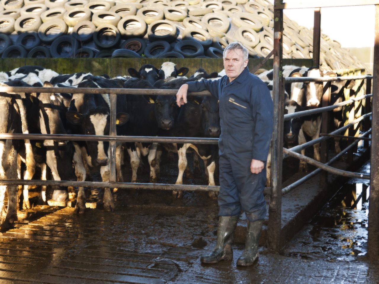 Milk price 'can and must' be held current levels - Quain