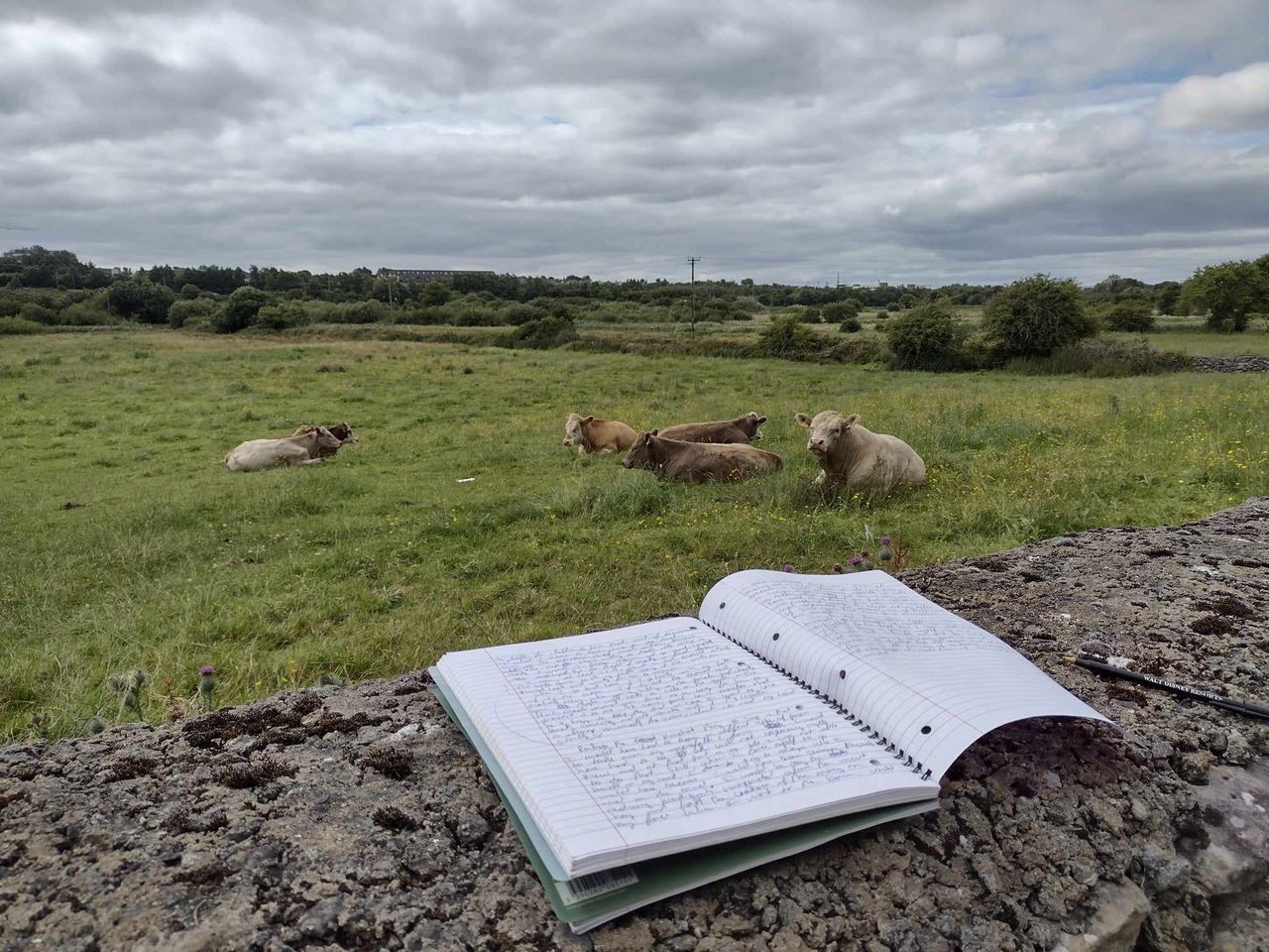 Best in Rural Writing contest 2024 opens for submissions