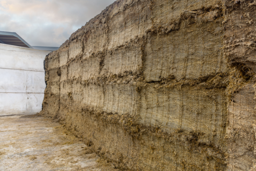 Reasons to keep silage waste to a minimum this winter
