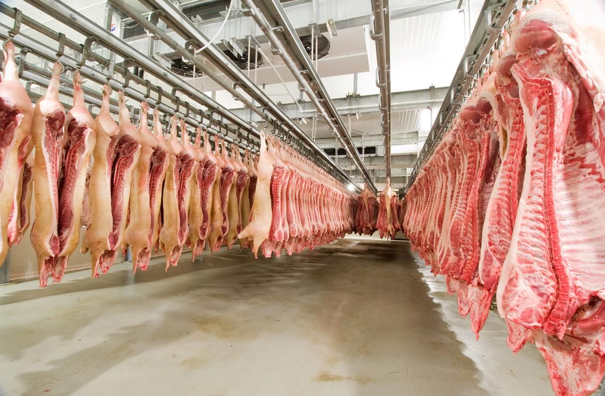 What is DAFM's new meat and bonemeal scheme?