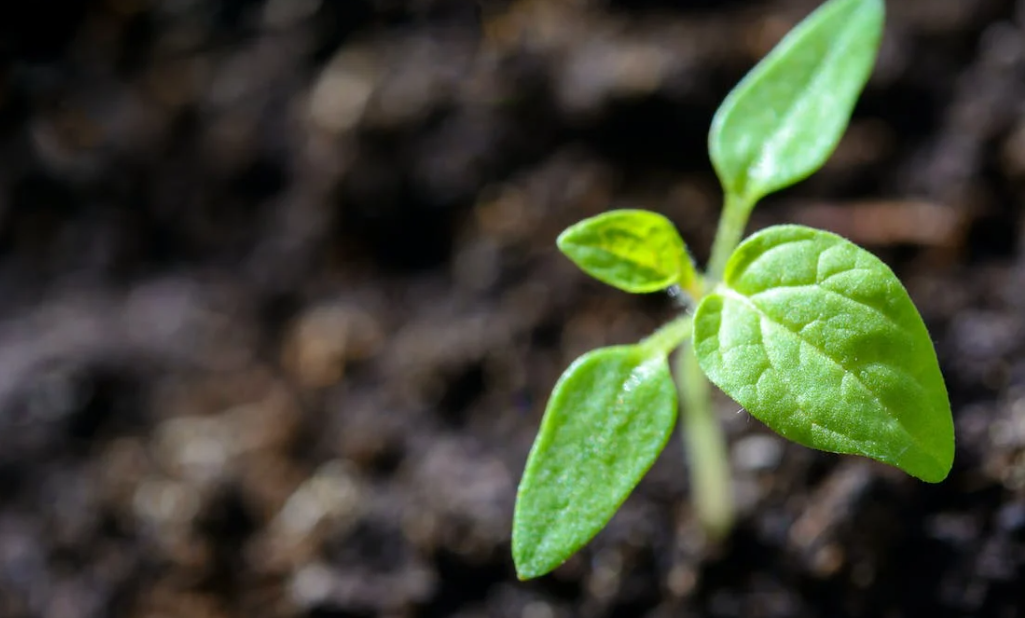Origin Enterprises sees €21m revenue boost for latest half-year