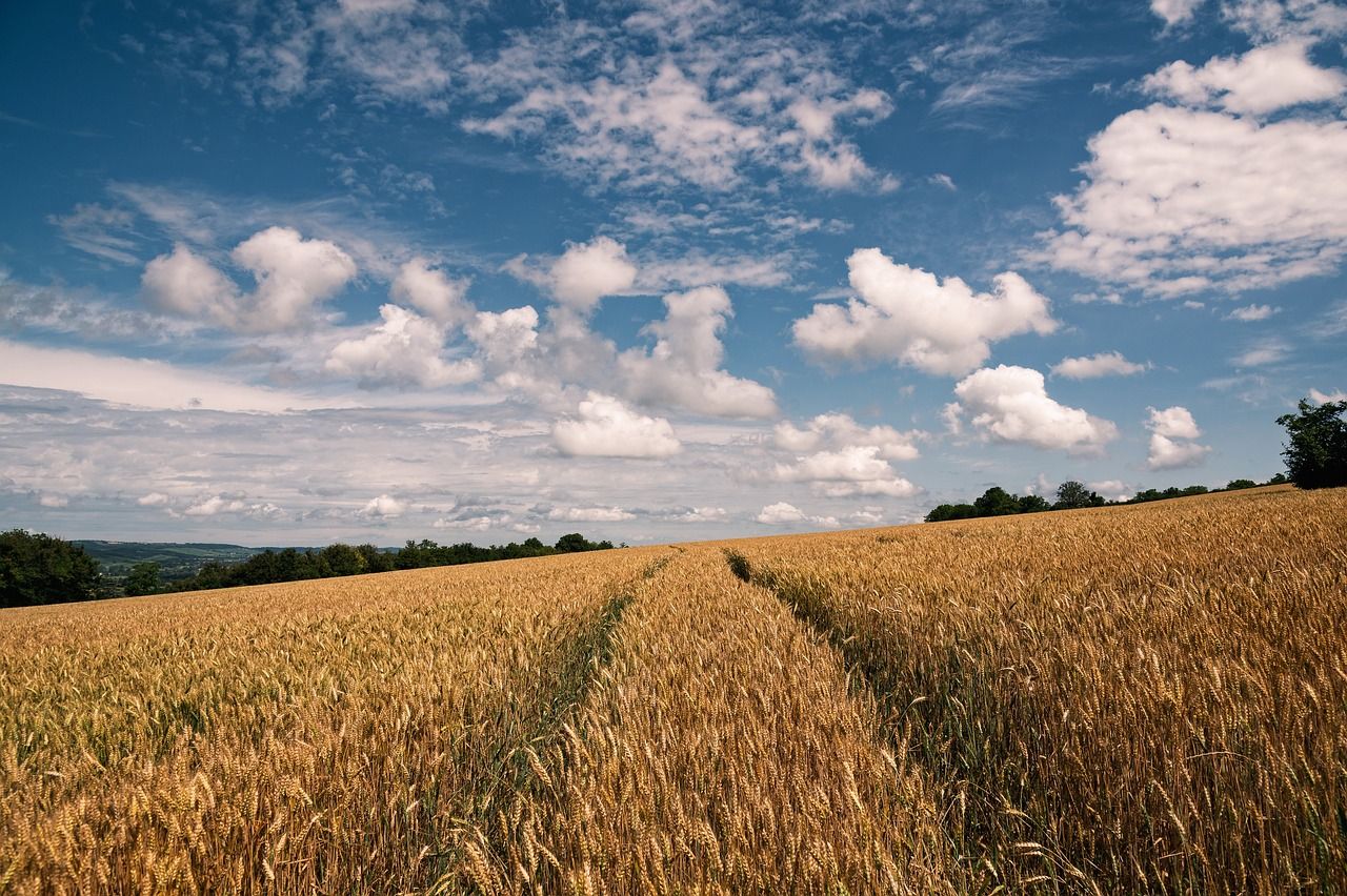 €7m fund for project to support nature in arable environment