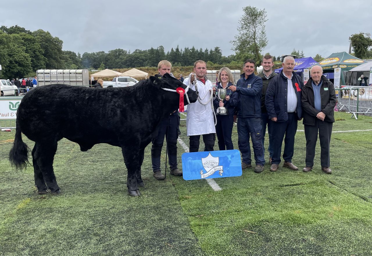 Virginia Show Champions from the beef-breed classes