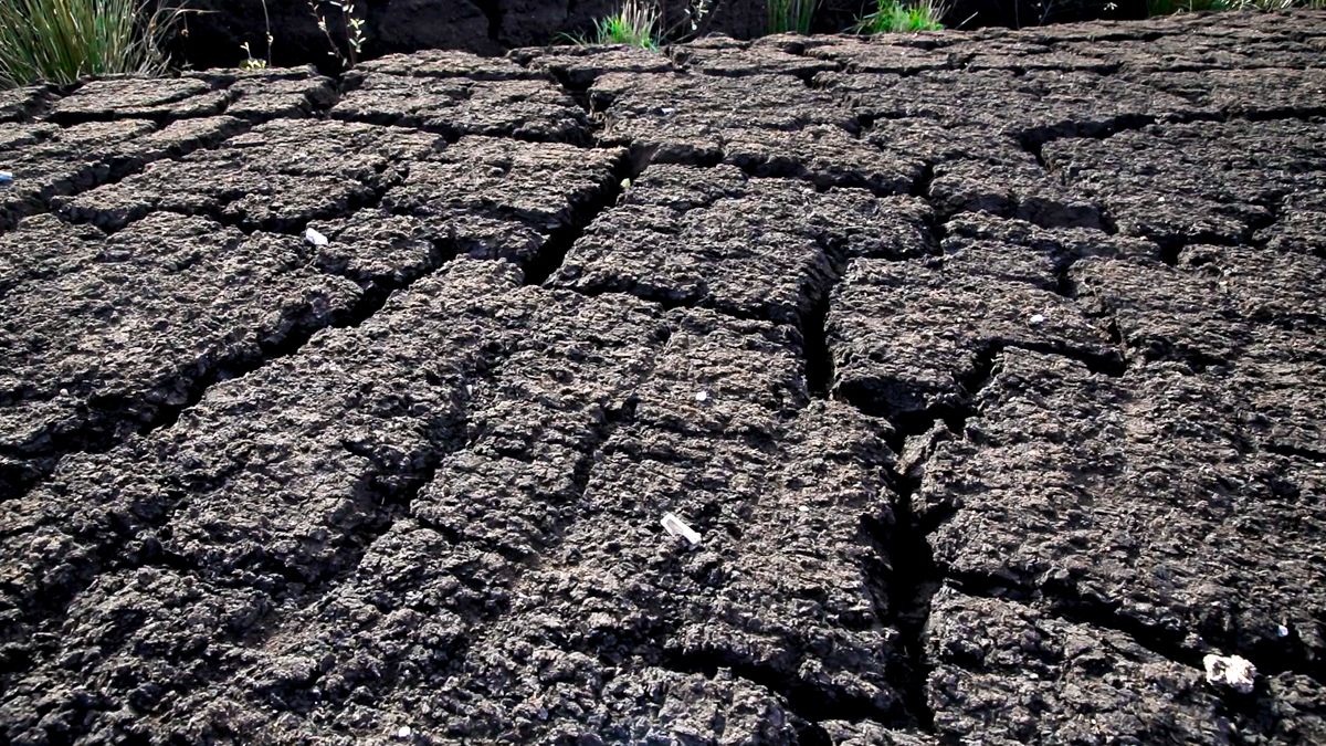 Elements of land will have 'varying degrees' of restoration potential