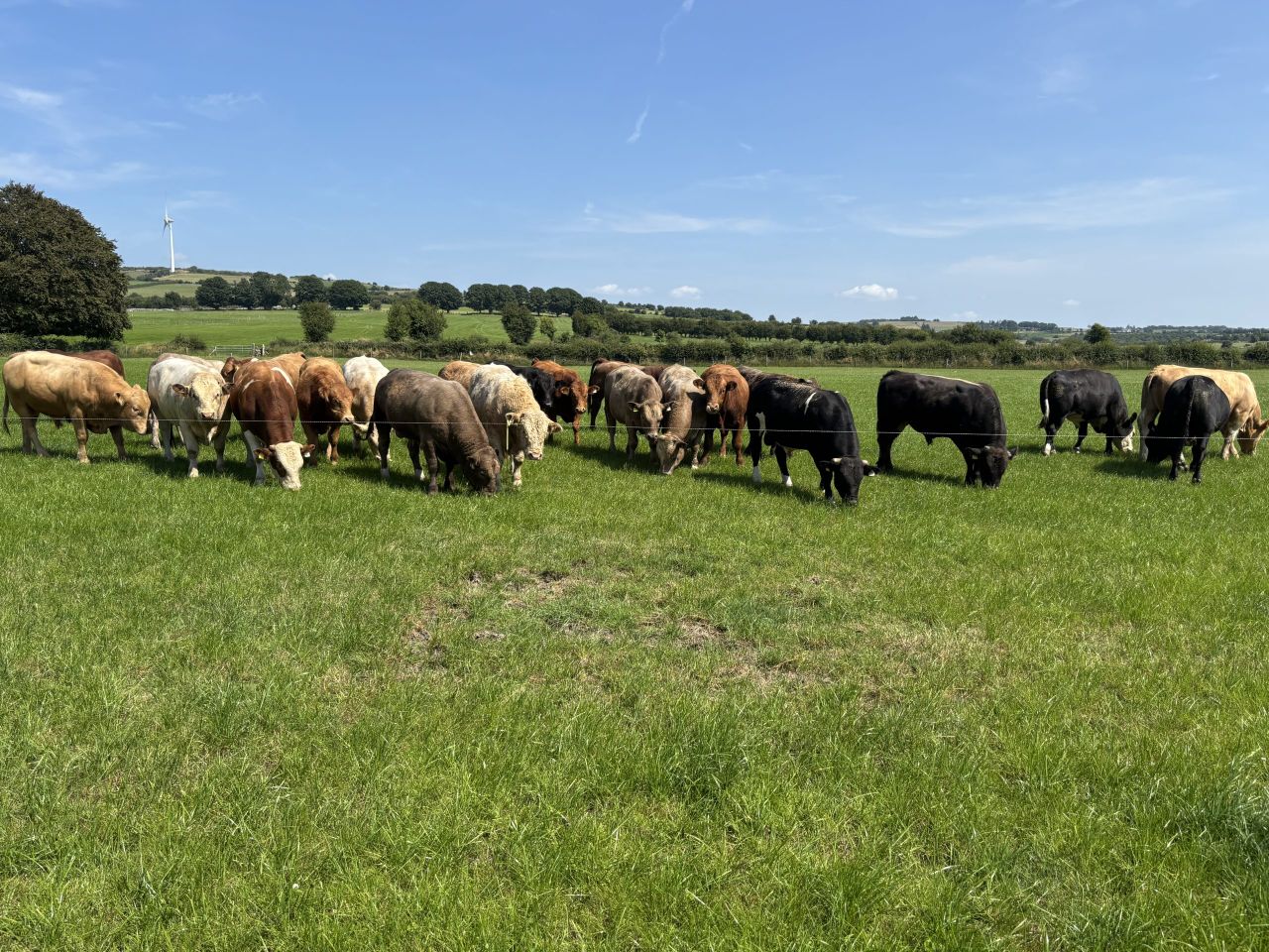 Revealed: The 15 FBD Young Farmer of the Year semi-finalists for 2026