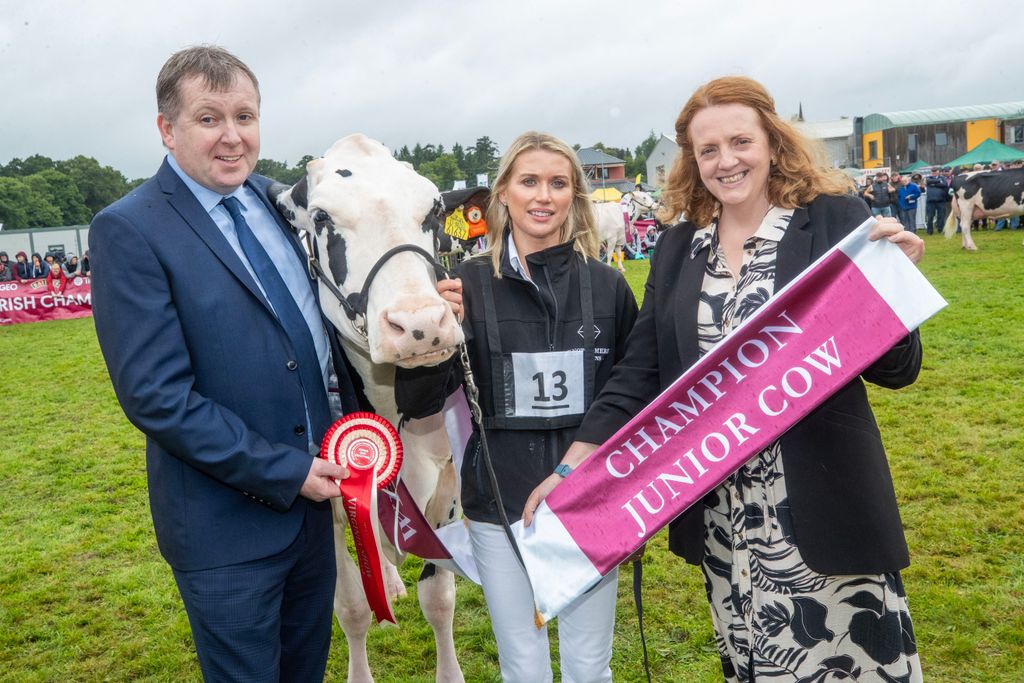 Winner of the Junior Cow Category of the Diageo Baileys Champion Cow Competition at the Virginia Show was 'Hallow Denver Twizzle', owned by Philip and Linda Jones from Co Wexford. Pictured are Anthony Farrelly, Tirlàn, Handler Izzy Jones and Maighread McMahon, Daigeo.Picture:  Finbarr O'Rourke