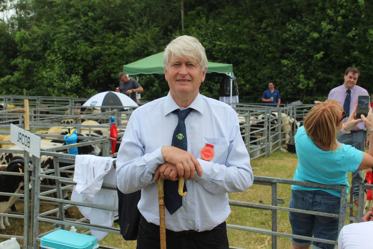 Sheep NI will 'particularly suit' visitors from Co. Donegal - NSA