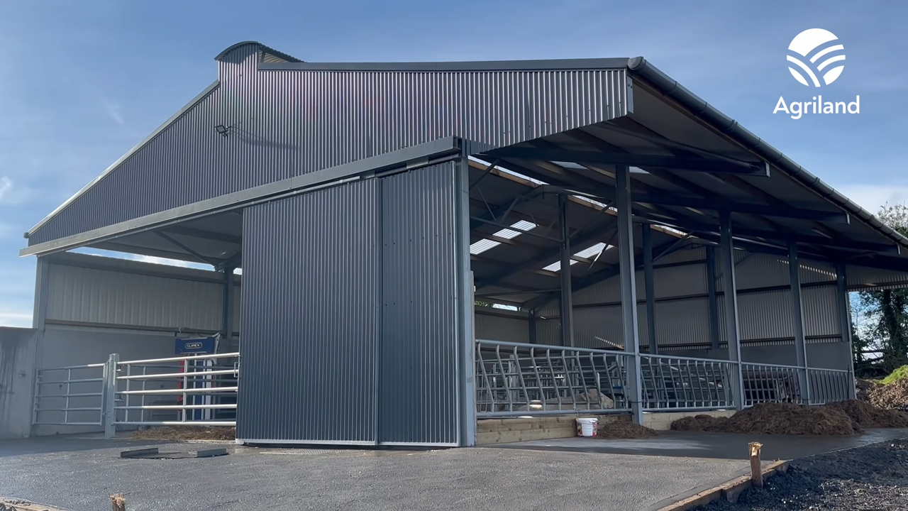 See inside 'dream' suckler shed in Cavan built to ease management