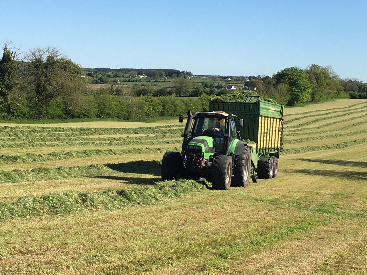 Survey results: 33% of Irish farms are financially 'vulnerable'