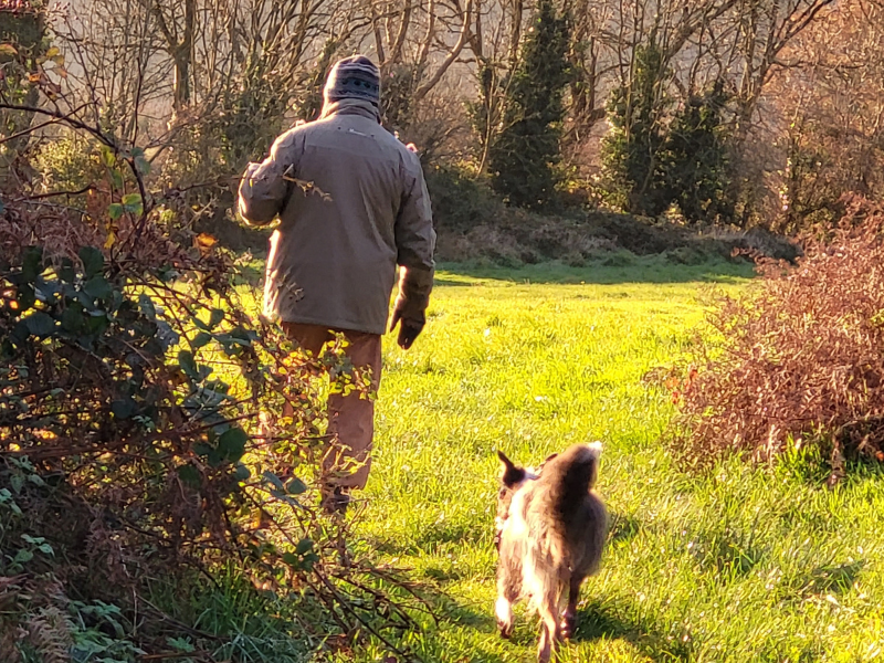 Kilkenny couple transform dog's life after years of abuse
