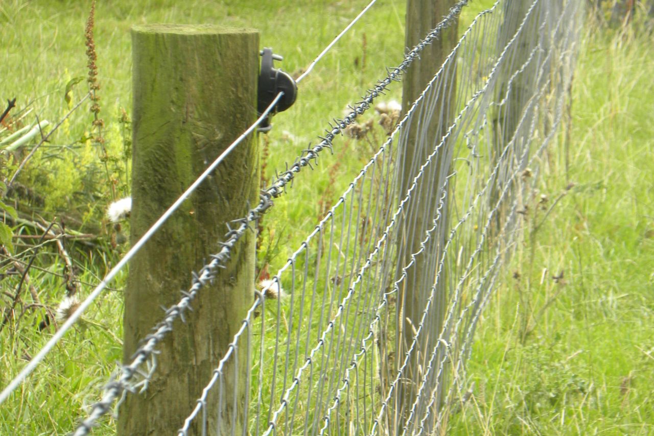 It could be March before sheep fencing is eligible for grant aid