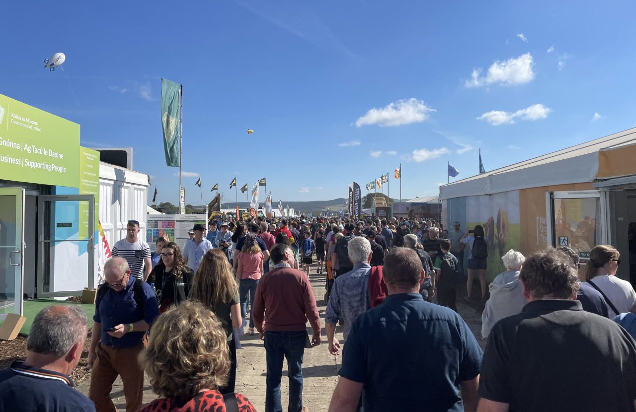 SEEFA to host forestry hub at Ploughing Championships