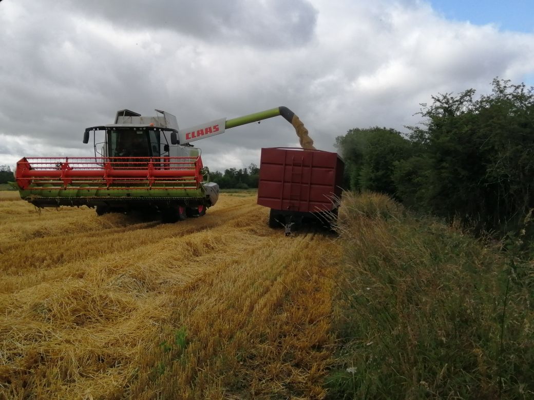 Harvest: 'Brutal season' causing 'mental and financial strain'