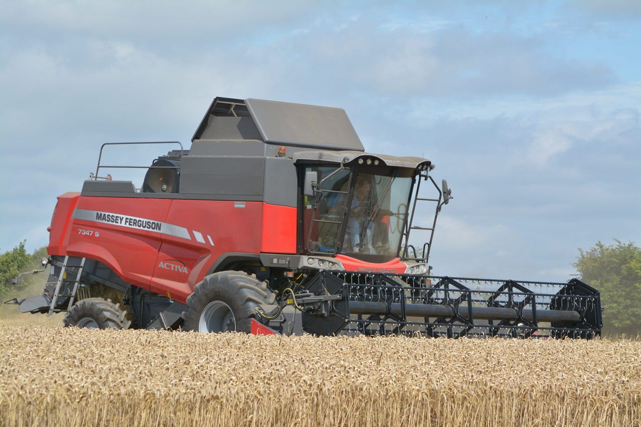 Harvest update: Spring barley and winter wheat kick off