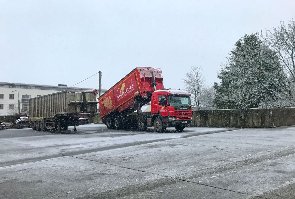 Tillage focus: New pellet mill for 180,000t of Irish grain