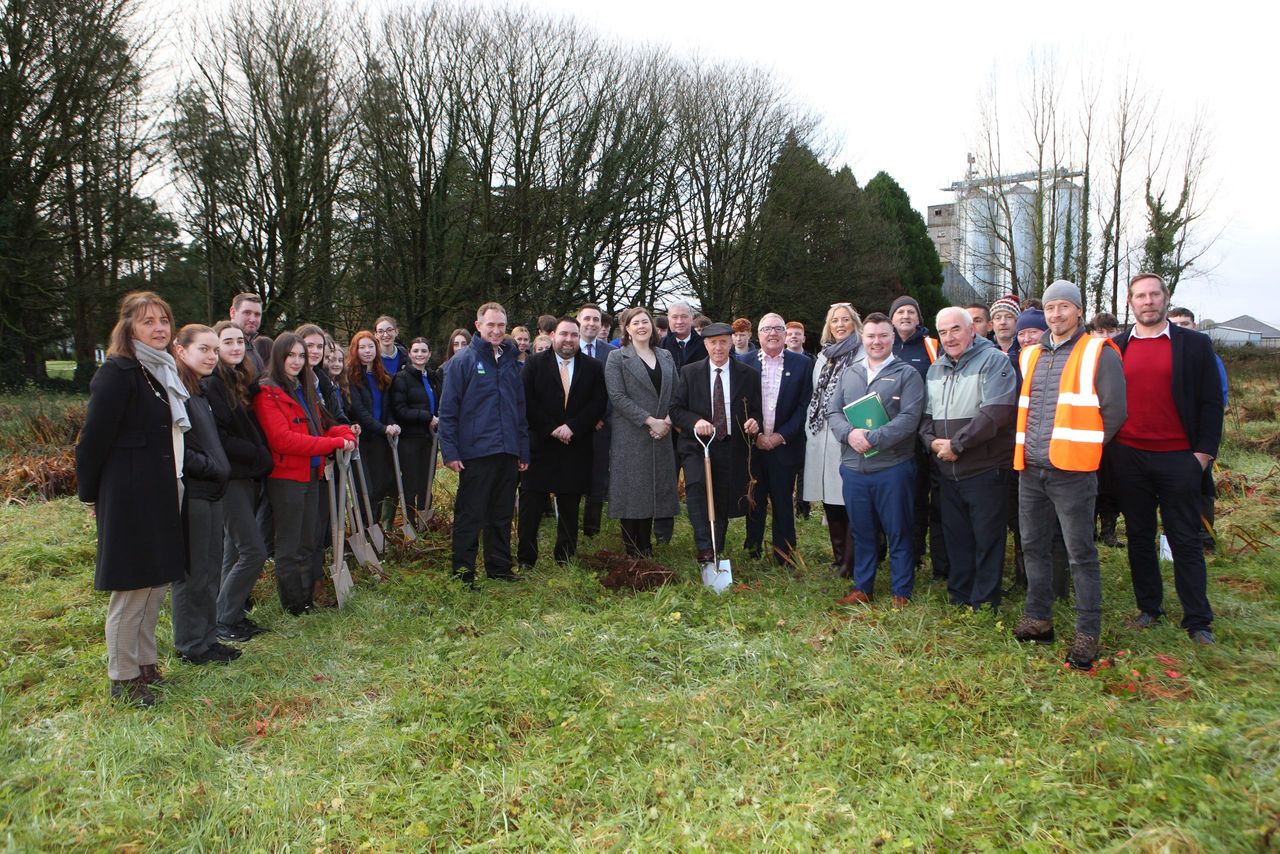 'Every site has potential' for planting trees - Healy-Rae