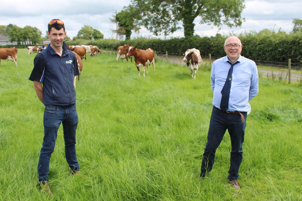 Sexed semen is key to breeding programme on Limerick dairy farm