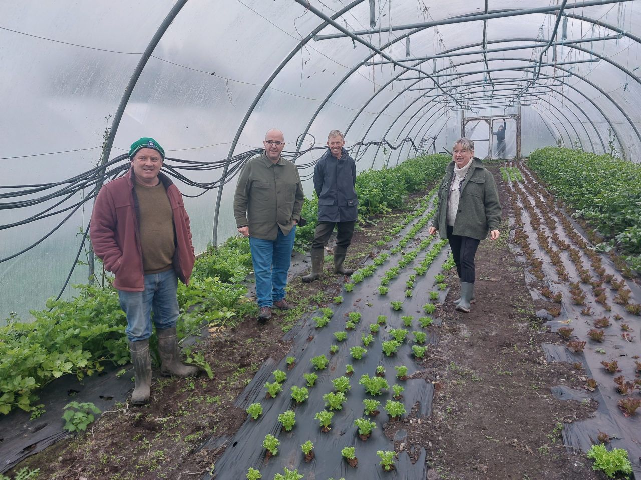 EU project sees Irish organic growers double sales in 3 years