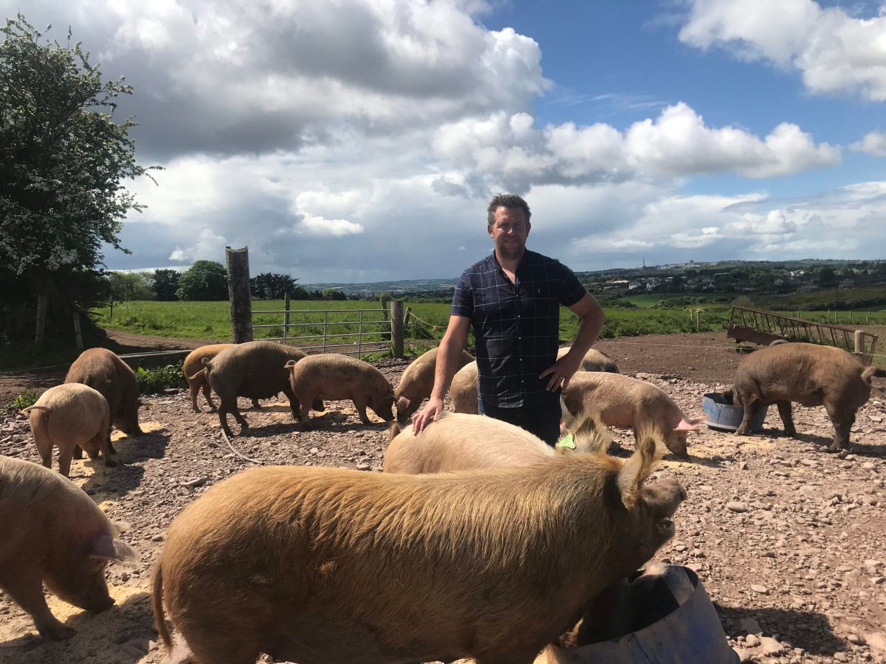 Dairy Focus: Cork dairy farmer diversifies with free-range pigs