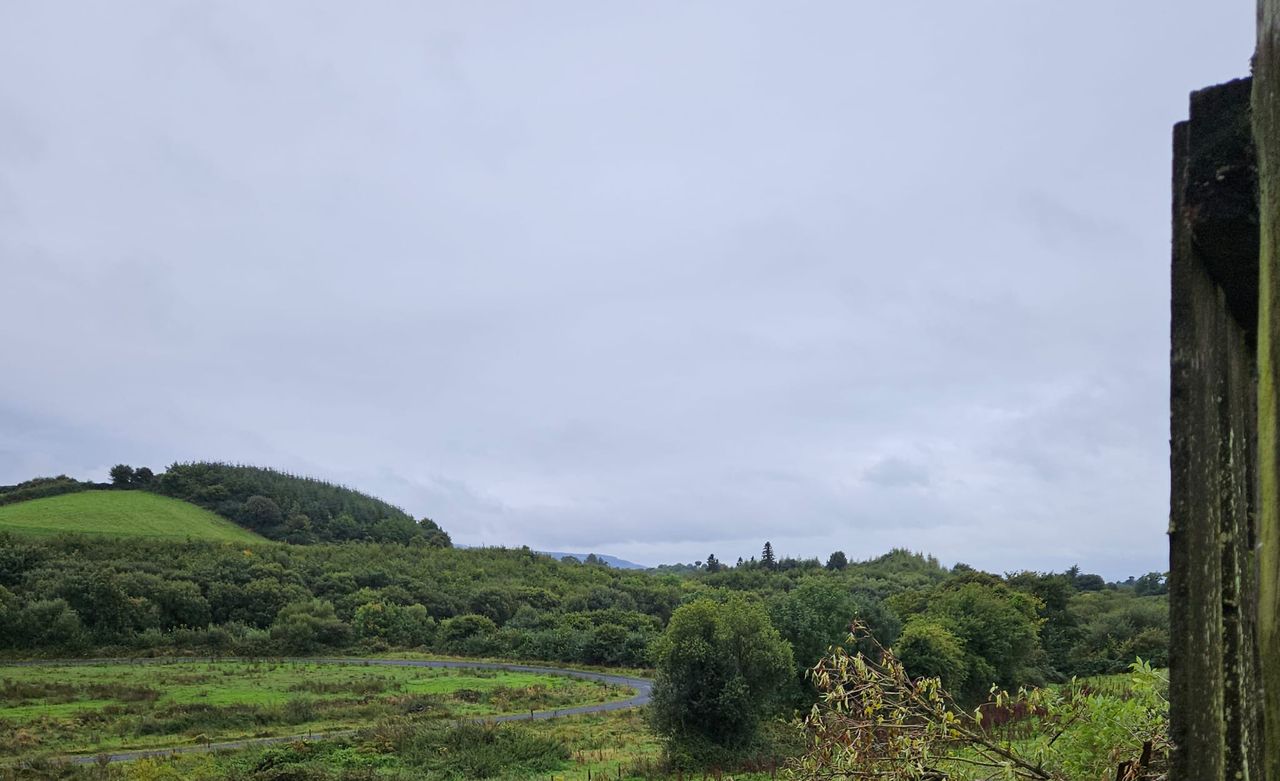 Land seized in Clare after investigation into organised criminal gang