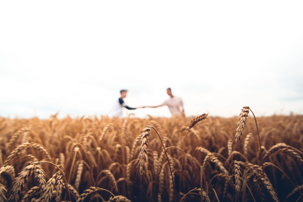 Farmers urged to take part in series of walks for mental health