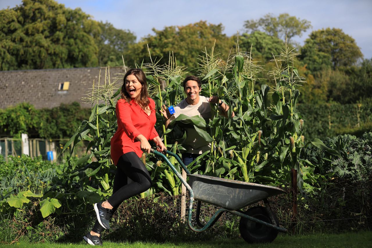 Bank of Ireland launches debit card made from corn