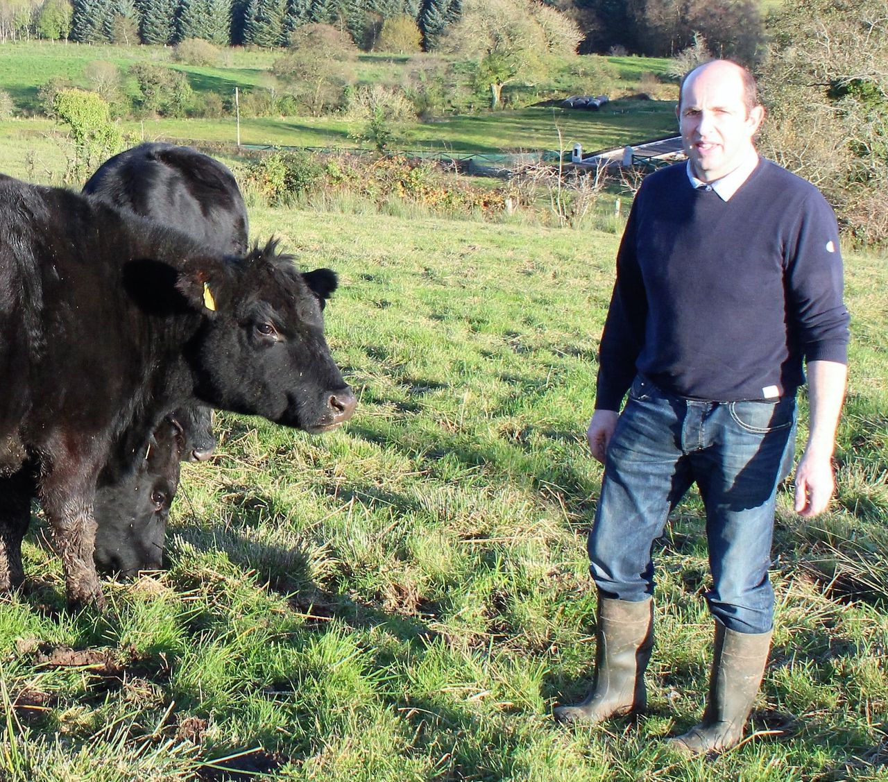 Ireland to co-host the World Angus Forum next year