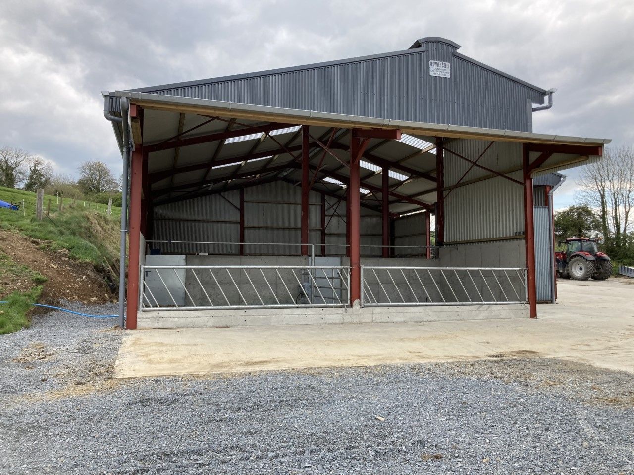 Advice not to house cattle this week amid mild temperatures