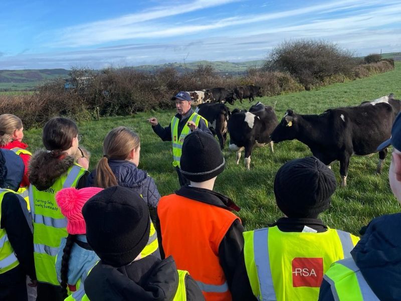 West Cork students get hands-on farm experience