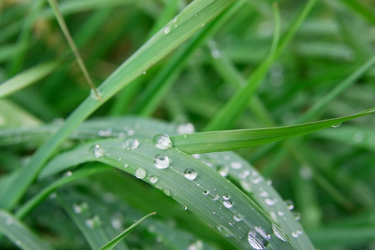Met Éireann: Weather to turn unsettled from midweek