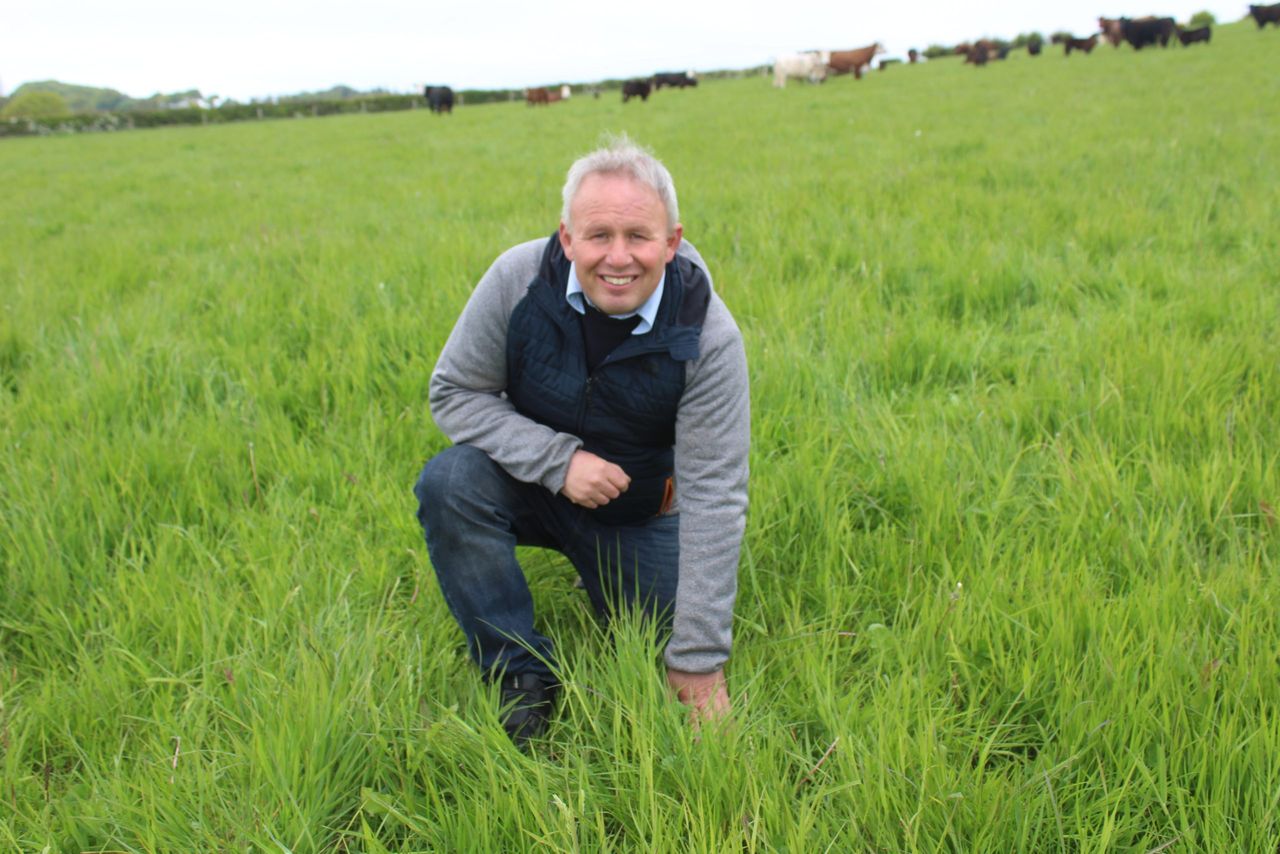 Organic beef and sheep production is 'wholly sustainable' - farmer