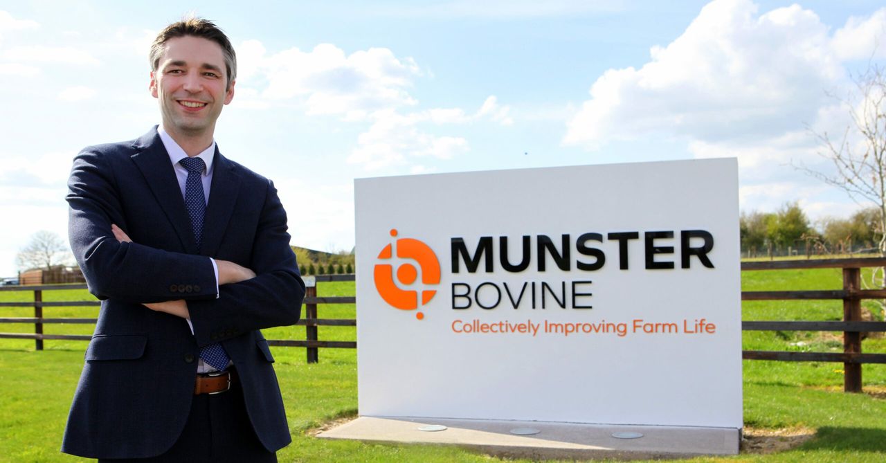 What's in a name: Munster Bovine unveiled following brand revamp