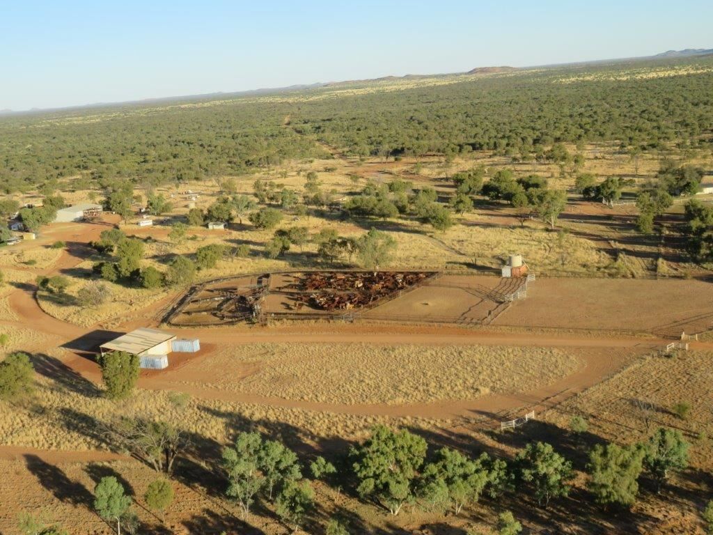 Pics: See the Australian cattle station that sold for $13 million