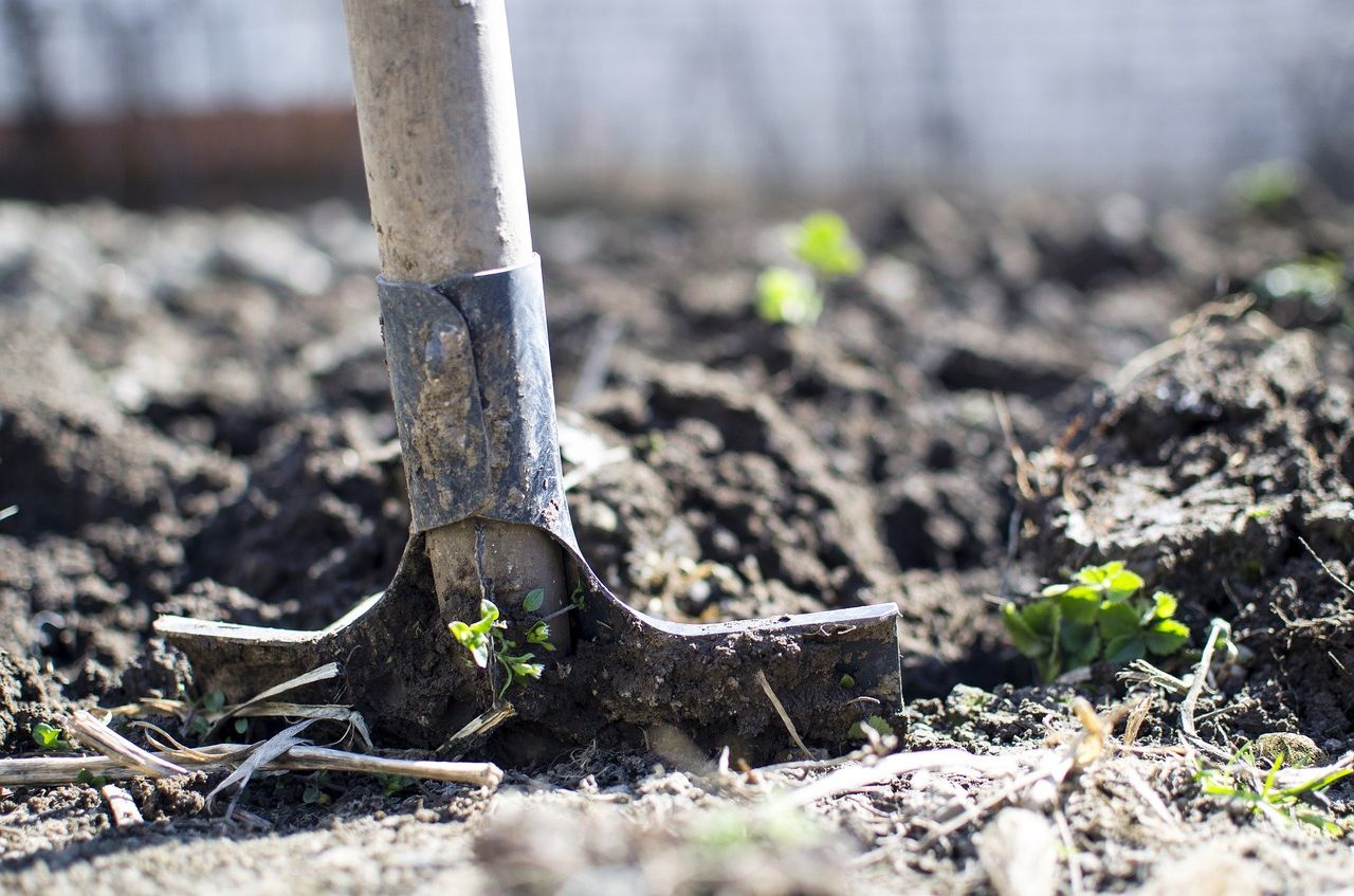 317 applications received for 2021 Organic Farming Scheme