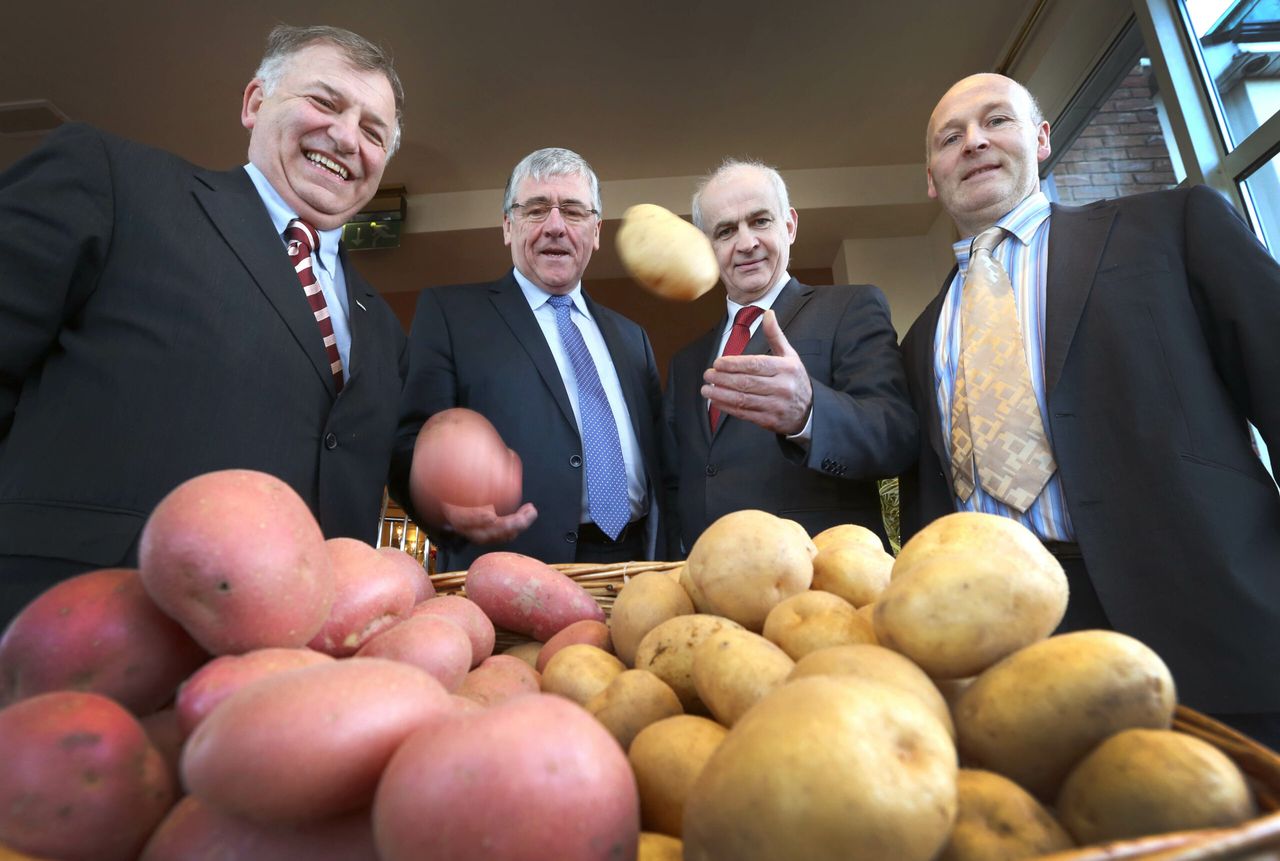 Potato promotion plans under way to combat market volatility