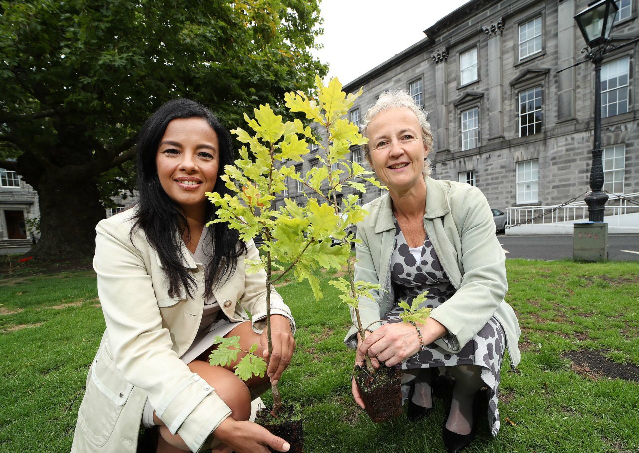 Coillte launches BioClass system for biodiversity sites