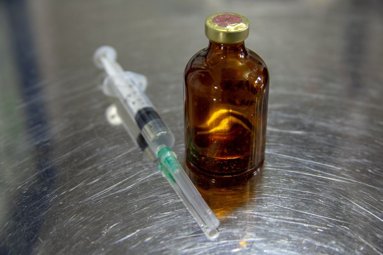 NI facing a 'potential shortage' of animal medicines - BVA