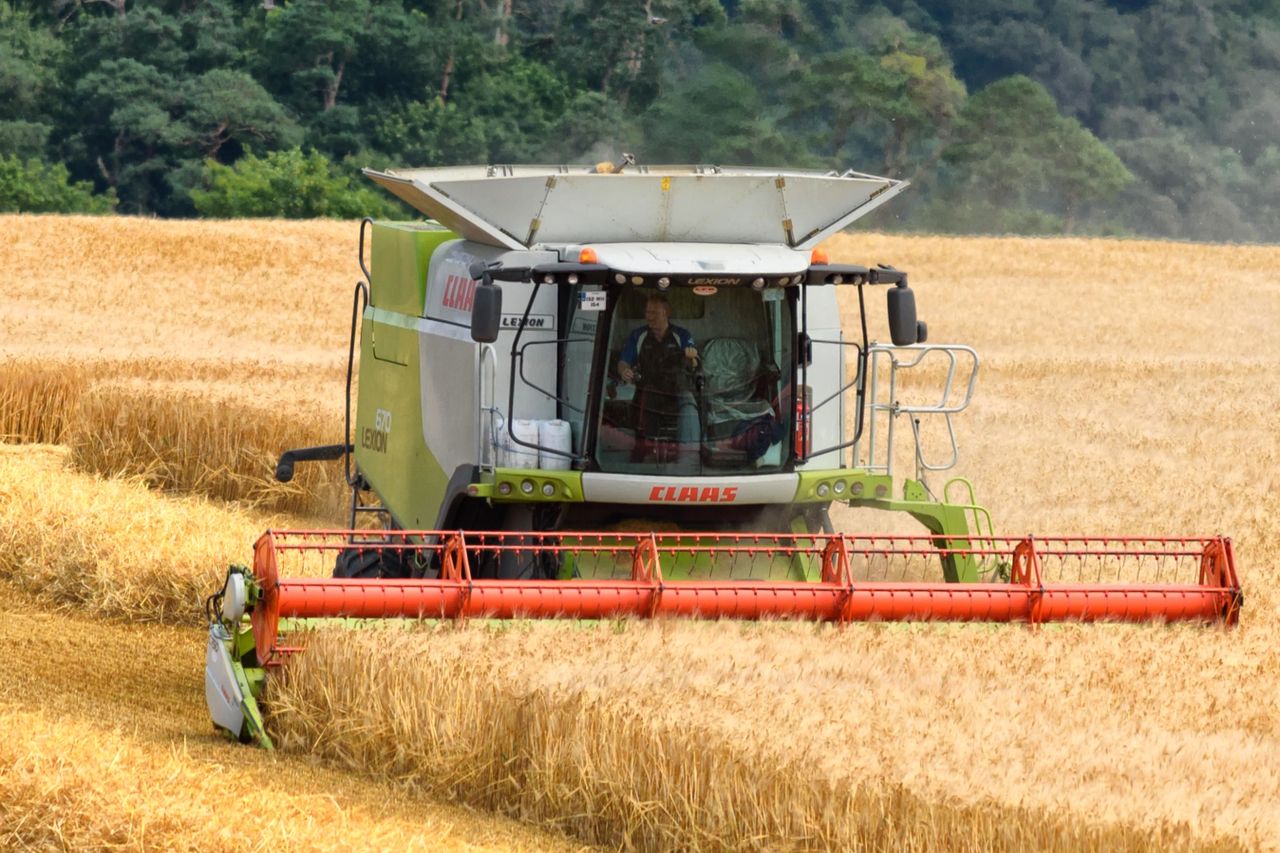 Experts warn that 'excessive' commodity speculation threatens food security