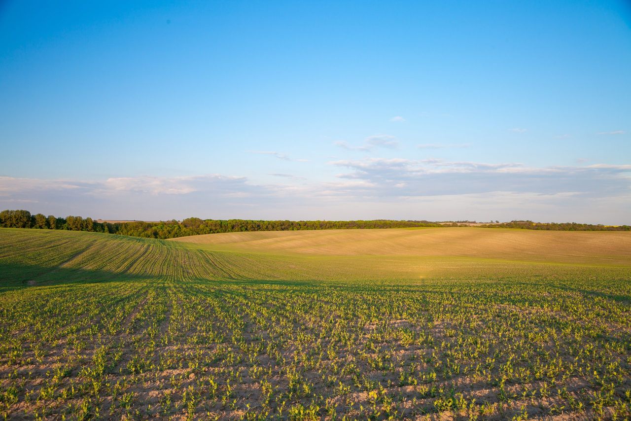 Group warns of unchecked 'mega farms' spanning thousands of acres