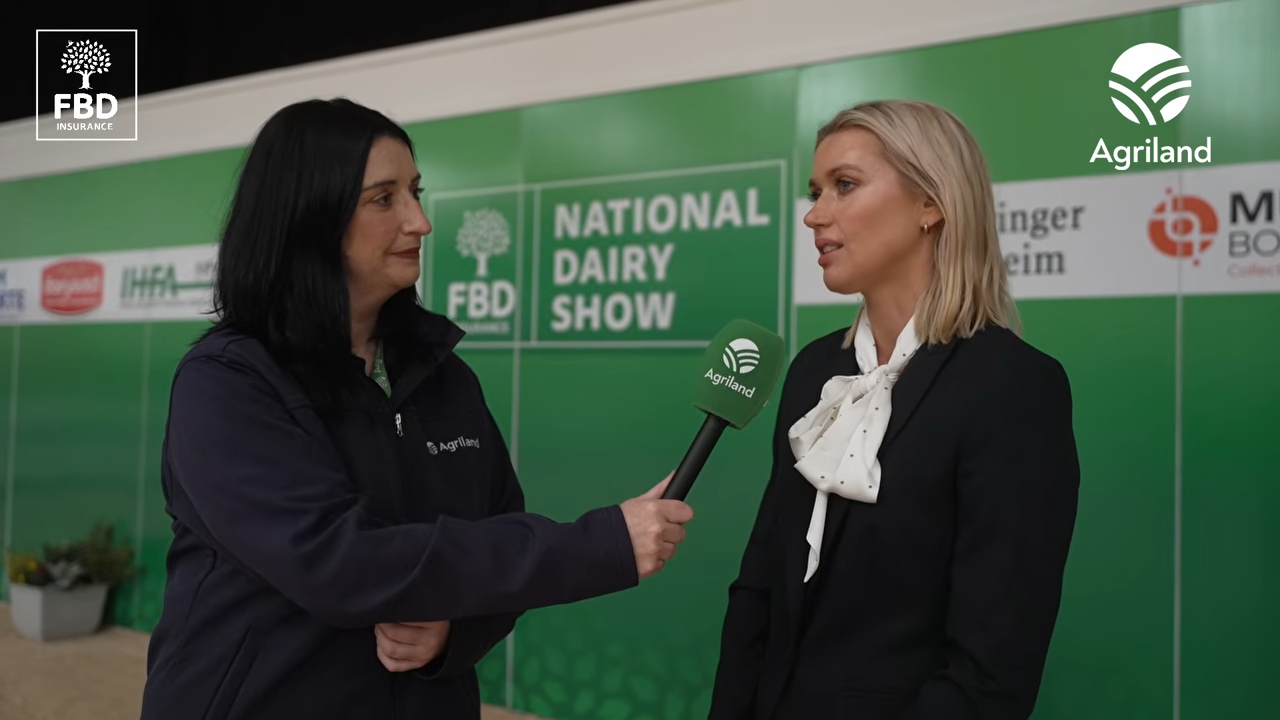 Day one of the FBD National Dairy Show 2026