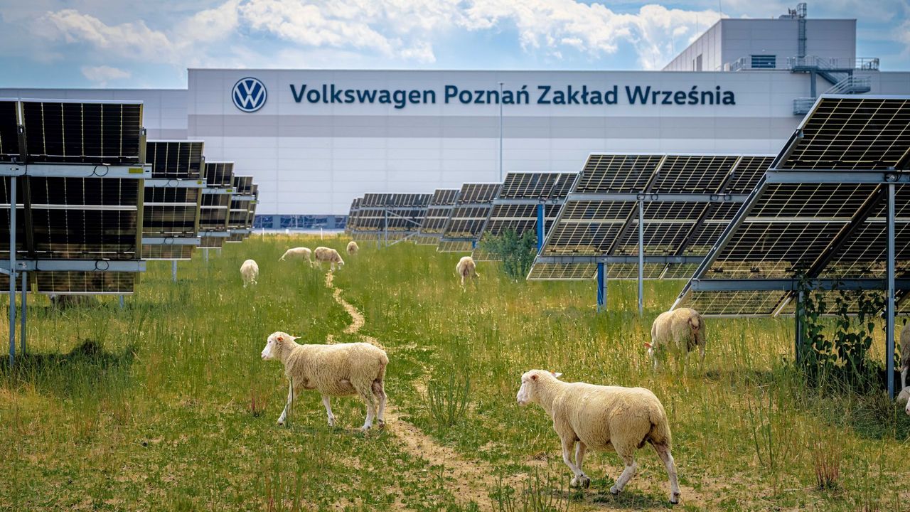Image: Rafal Pijanski 