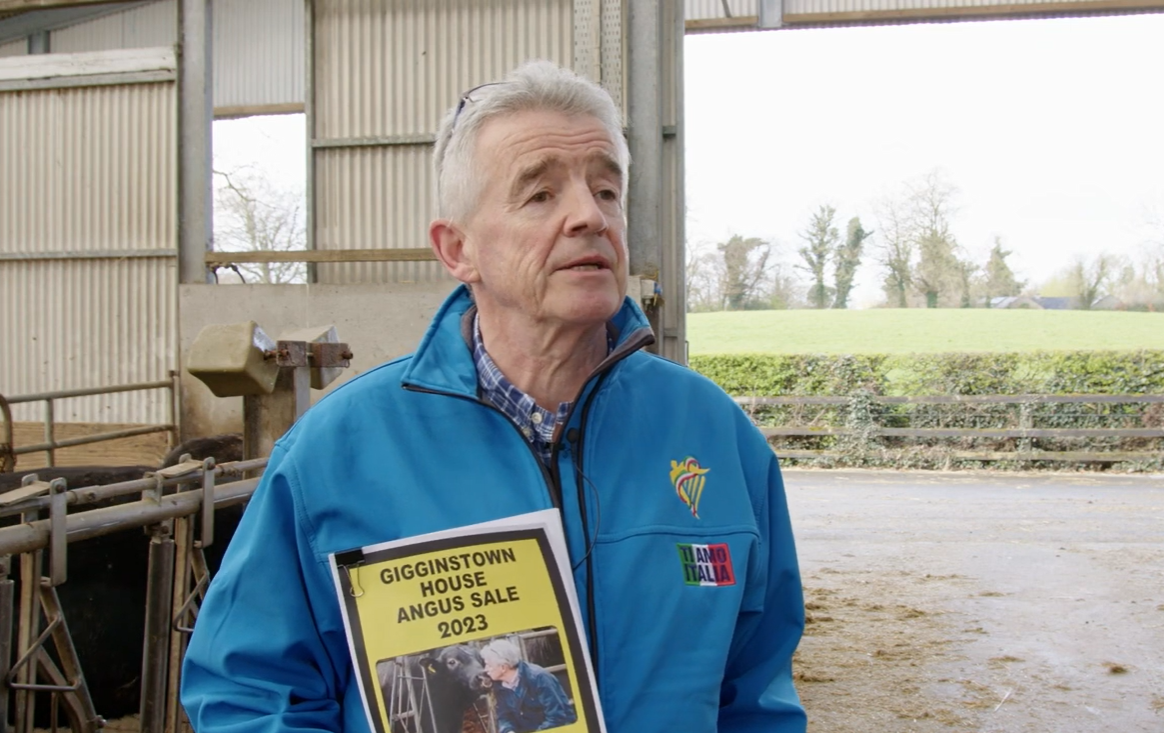 Ryanair boss claims 'loony ideas' could increase food prices