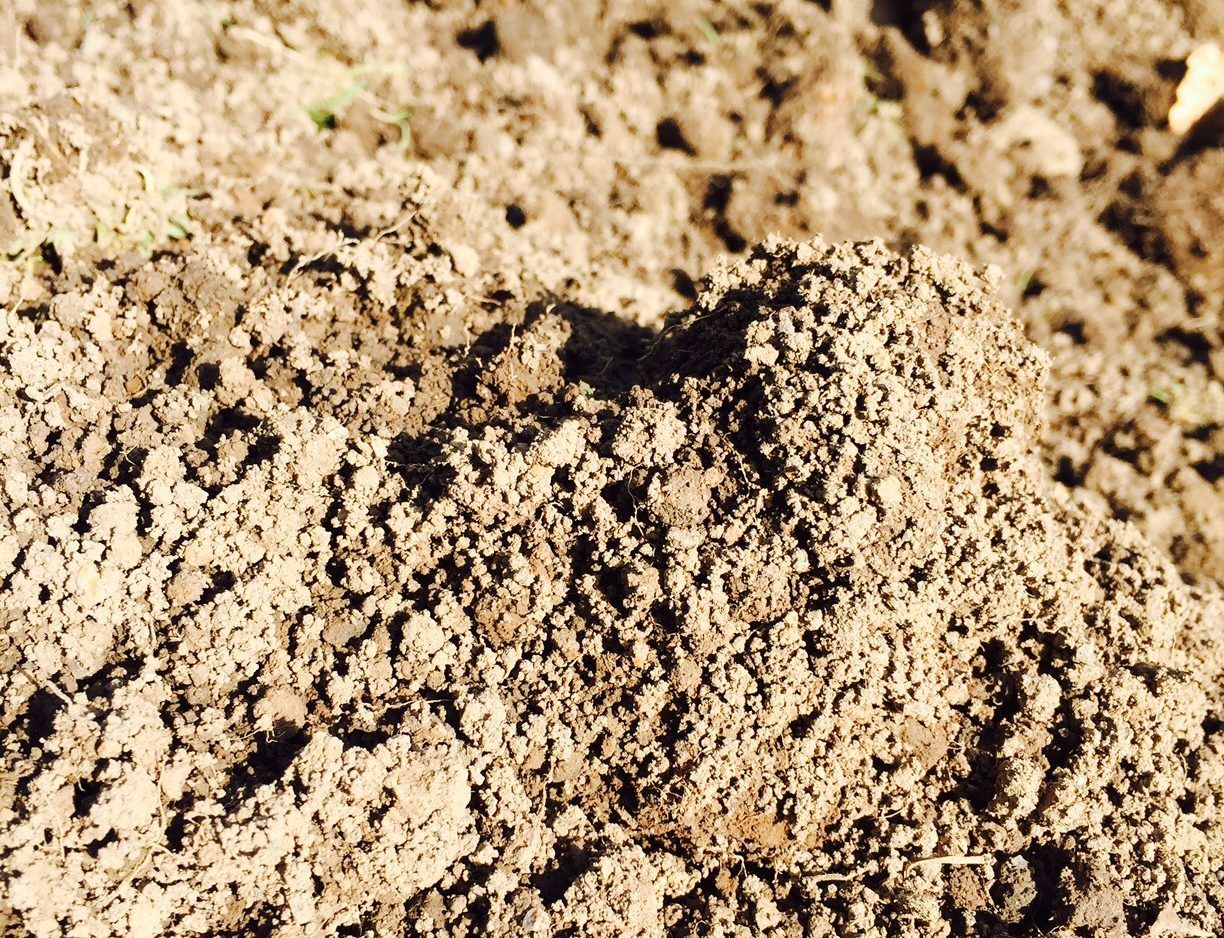 Do you condition score your earthworm populations?