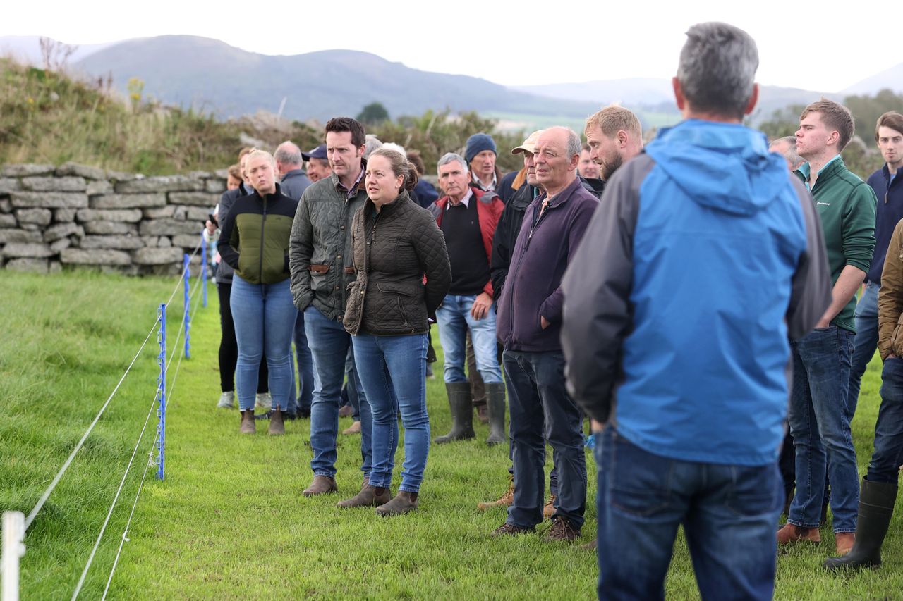 Ulster Grassland Society hosts Down farm walk