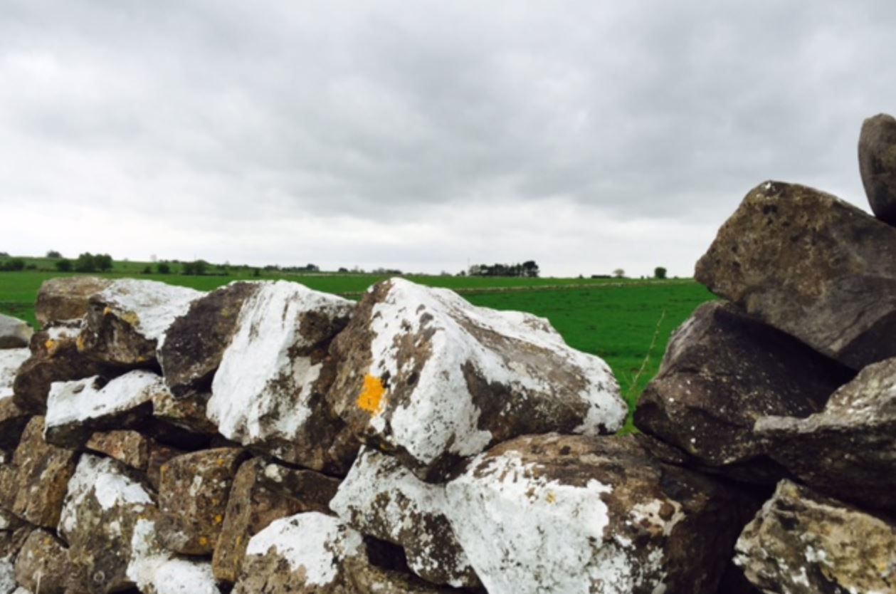 Weather: Fairly dry for midweek but less settled towards weekend