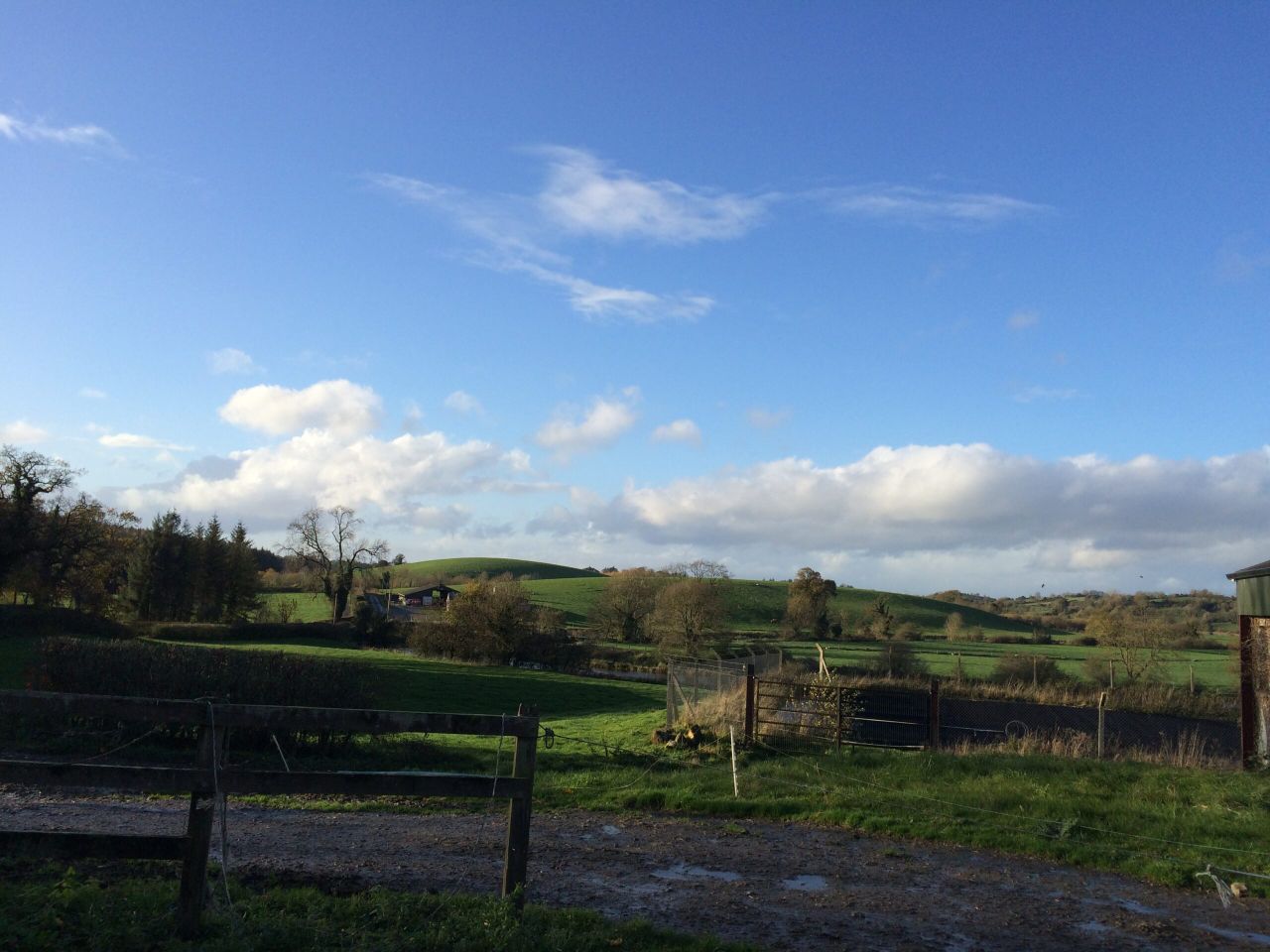 Embrace FARM to set up Cork support network