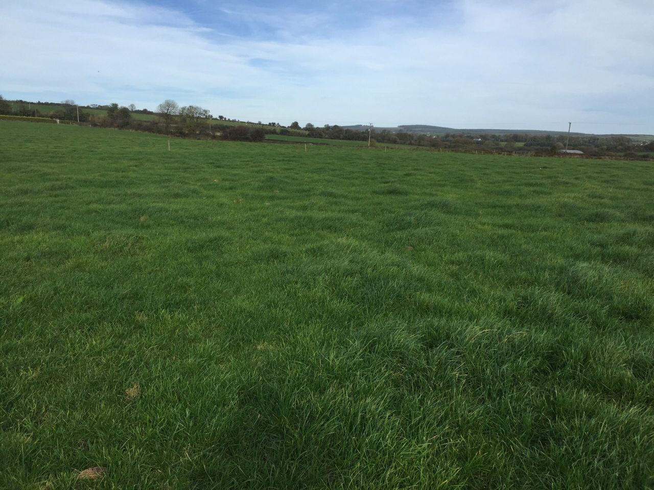35ac block of Cork grassland for auction in probate sale
