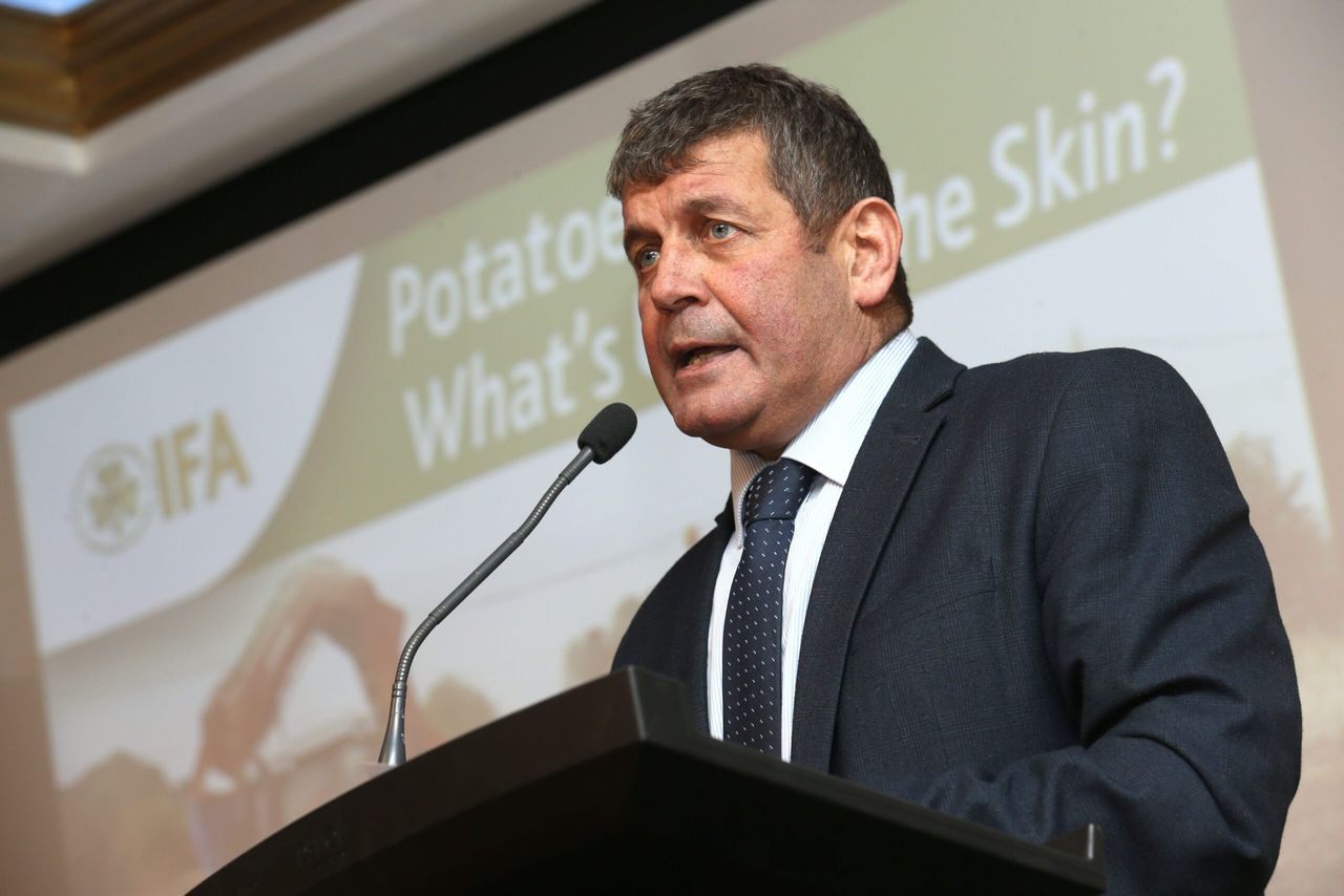 Potatoes are the bedrock of the horticulture sector - Doyle