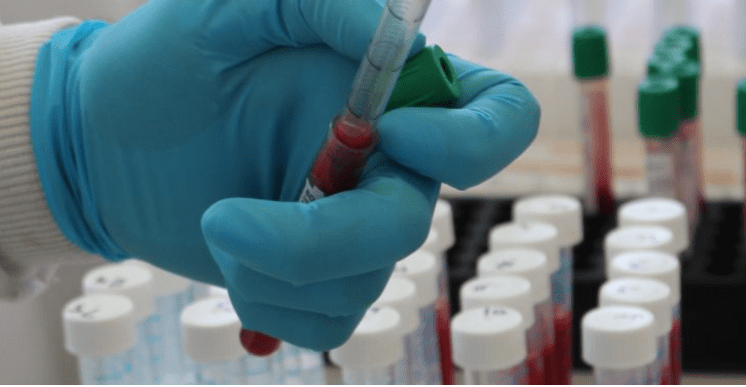 Why do some cattle escape TB or liver fluke infection?